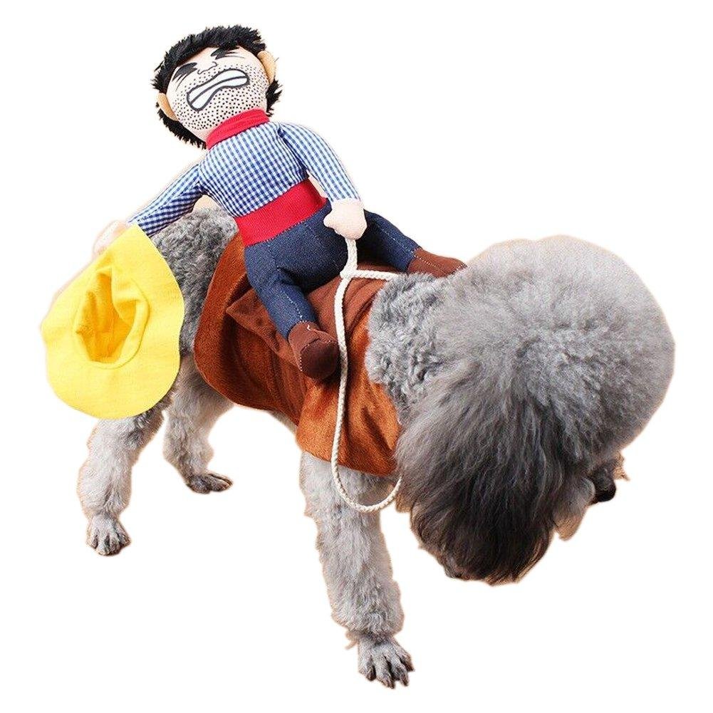 Kutya jelmez - Cowboy Rider