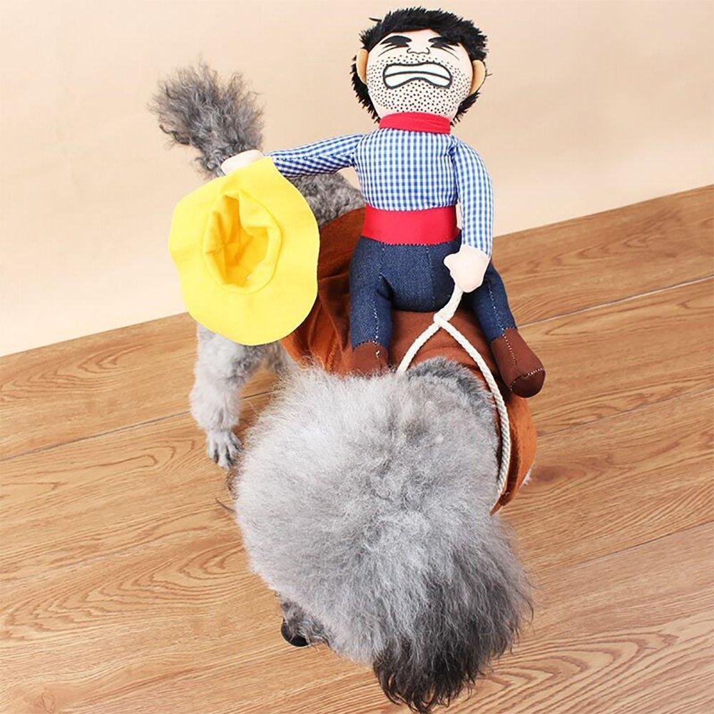 Kutya jelmez - Cowboy Rider
